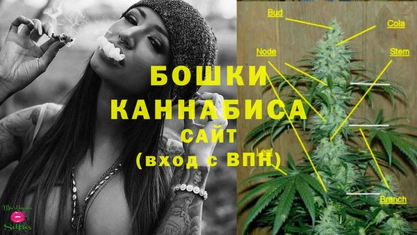 хмурый Рославль